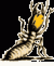 Horizon Pest Control