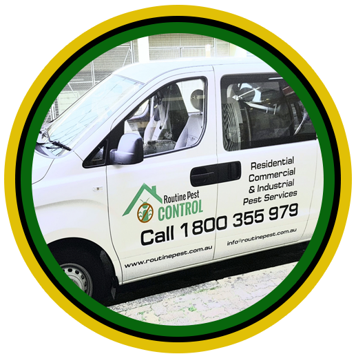 Routine Pest Control