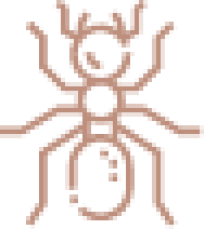 Ram's Pest Control Services
