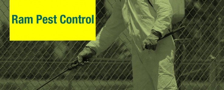 Ram's Pest Control Services