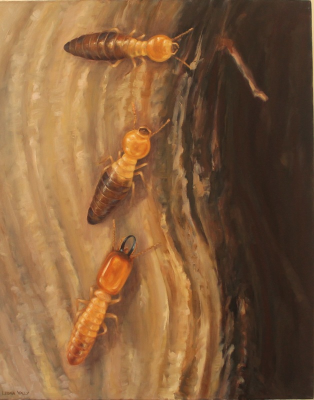 Rocket Pest and Termite Pty Ltd