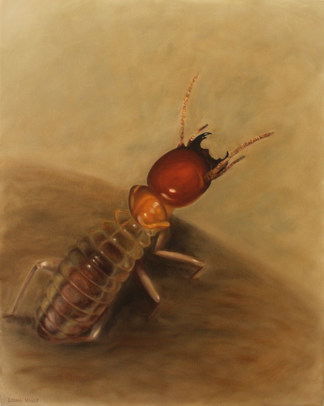 Rocket Pest and Termite Pty Ltd