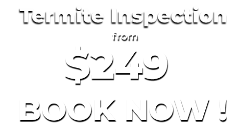 Termite Control Sydney