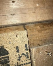 Eco Safe Pest Control