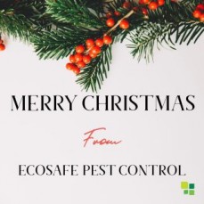Eco Safe Pest Control
