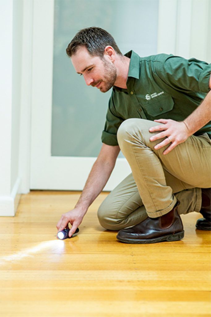 Specialist Termite Control
