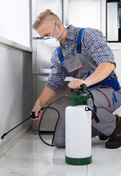 Fumapest Termite &amp; Pest Control