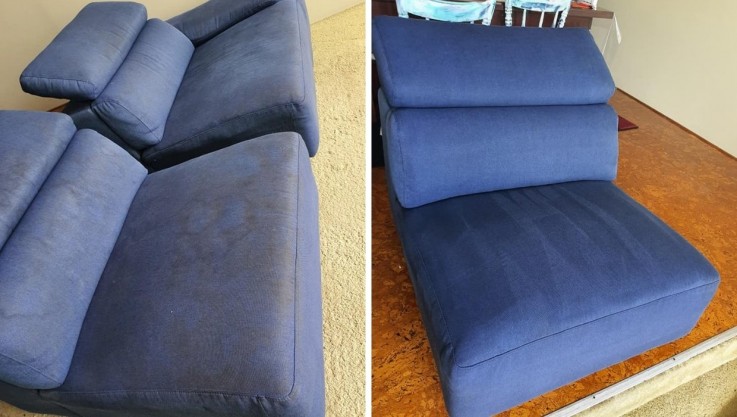 Pro Clean Carpet, Tile & Upholstery Cleaning & Complete Pest Management