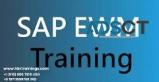 Best SAP EWM Online Course in India