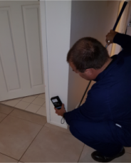 Swarm Pest Control Brisbane