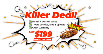 Swarm Pest Control Brisbane