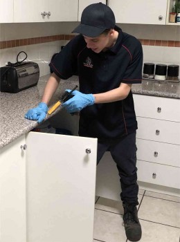 Swarm Pest Control Brisbane