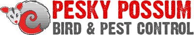 Pesky Possum Bird & Pest Control