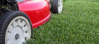 Kings Services Carpet Cleaning & Pest Control