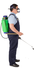Dinno's Carpet Cleaning & Pest Control