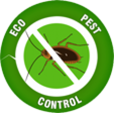 ECO PEST CONTROL