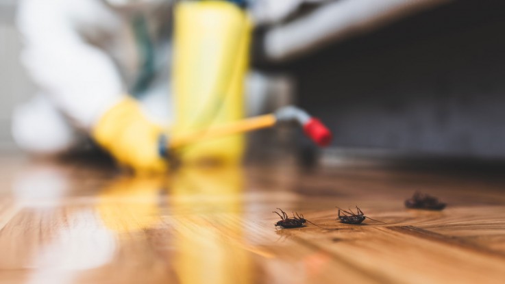Oztech Pest Control