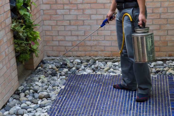 Oztech Pest Control