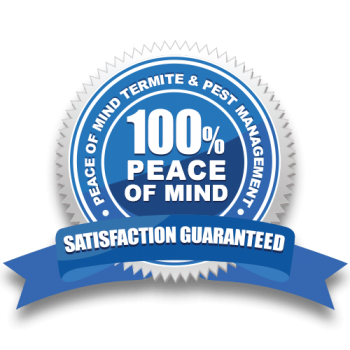 Peace Of Mind Termite And Pest Management