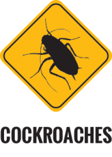 Tonys Termites & Pest Control Gold Coast