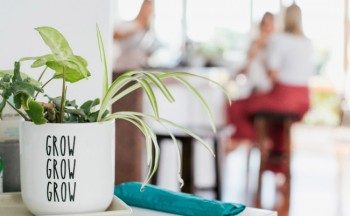 Noosa Confidential Pty Ltd