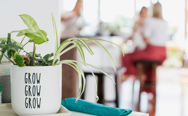Noosa Confidential Pty Ltd