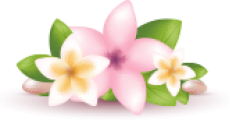Mantra Beauty &amp; Skin Care