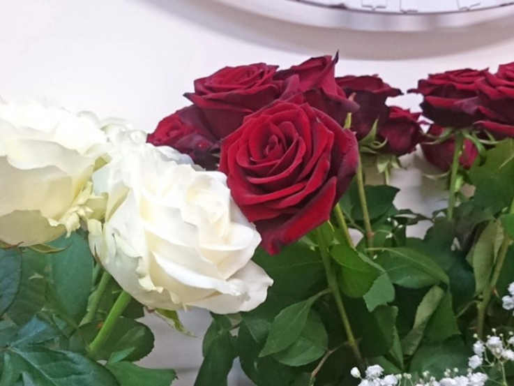 The Elizabeth Laser & Cosmetic Medicine Centre