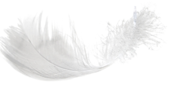 Melbourne Hair Removal Centre For Electrolysis & Waxing