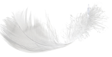 Melbourne Hair Removal Centre For Electrolysis & Waxing