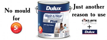 Coat-Rite Painters