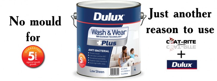 Coat-Rite Painters
