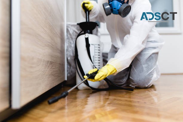 SES Pest Control Adelaide