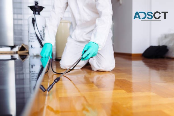 SES Pest Control Adelaide