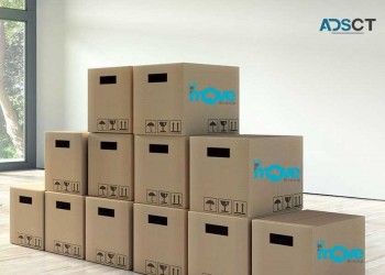 Sydney Removalist
