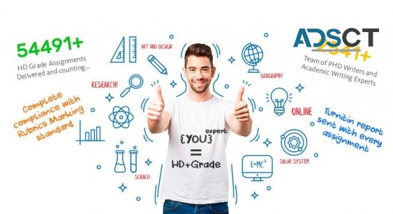 Looking for Finance Assignment Help Online