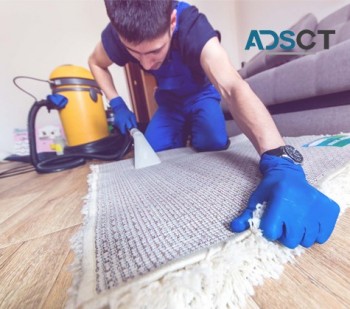 Professional carpet cleaners in Melbourne at unbelievable prices