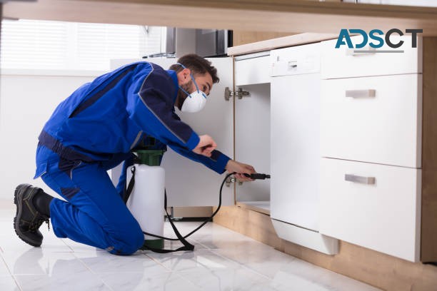 Max Pest Control Canberra