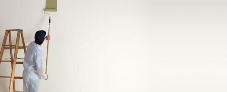 Registered Painters