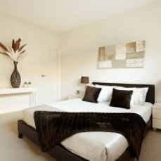 King Painting Service