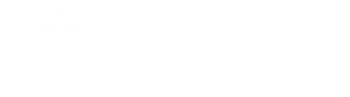 ServiceCorp - Test and Tag