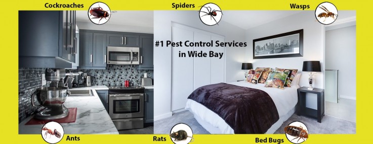 5 Star Pest Solutions