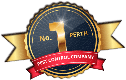 Chambers Pest Solutions