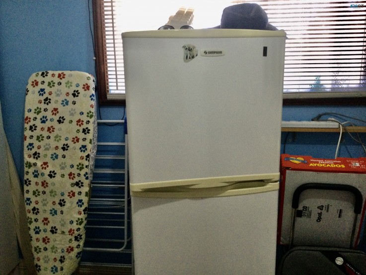 A Simpson fridge.  With top freezer.