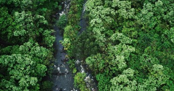 Port Douglas & Mossman Pest Control