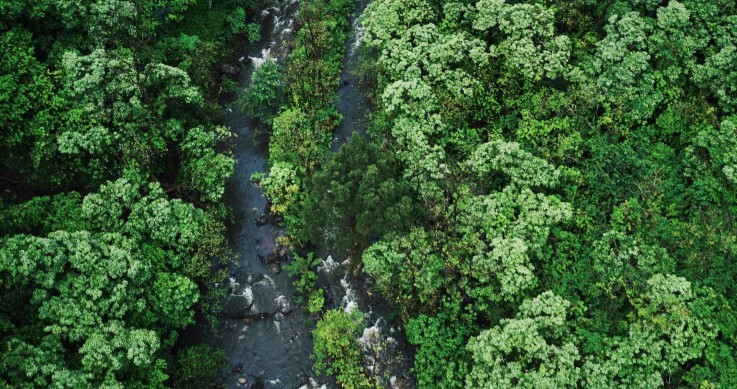 Port Douglas & Mossman Pest Control