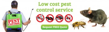 Best Clean Pest Control