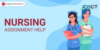 Fly High with Our Nursing Assignment Help
