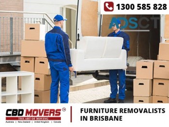 Hire Furniture Removalists in Brisbane