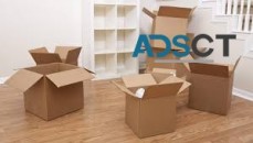 Removalists Frayville